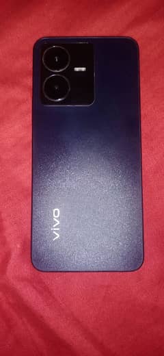 vivo