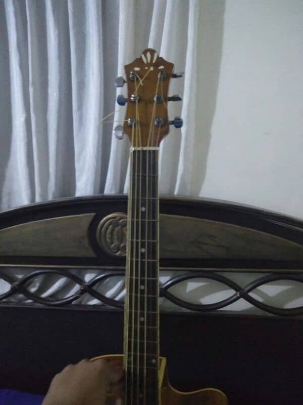 evolution guitar great wood 2