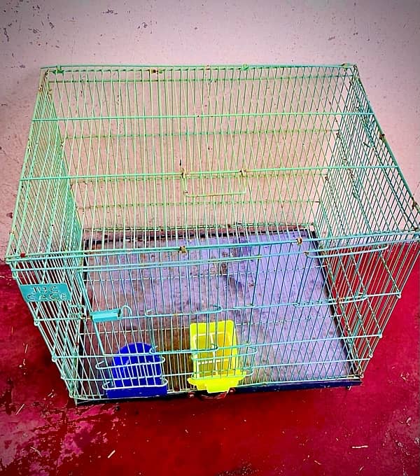 Beautiful Parrots AND Cages 1.5*2ft size available 9