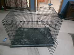 cage for sale at reasonable price