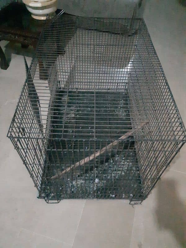 cage for sale at reasonable price 1