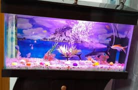 Aquarium with fish