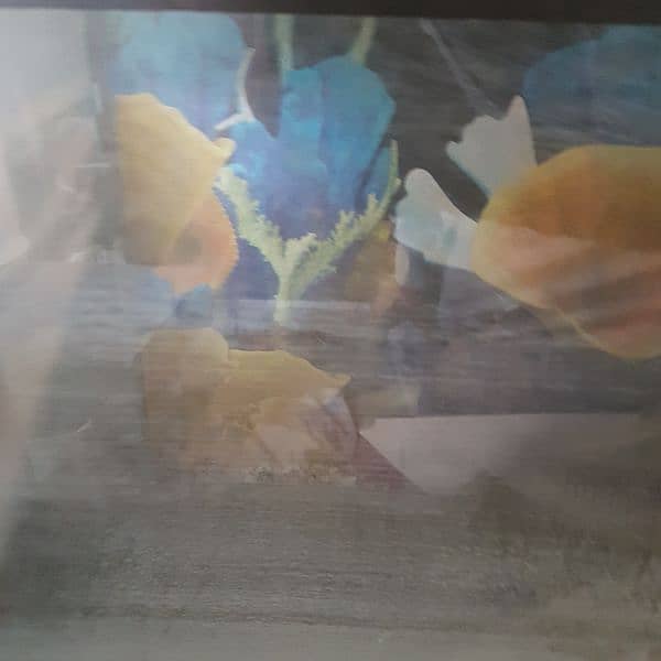 Aquarium for sale in a good condition 4