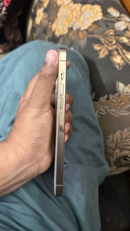 iPhone 13 Pro Max 256gb Golden 6