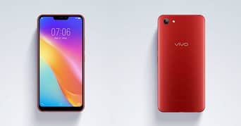 Vivo81,