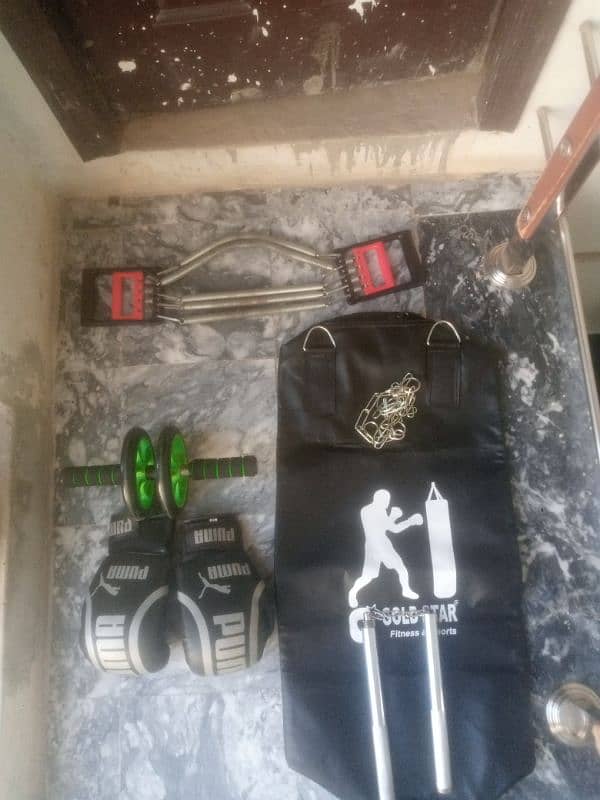 Boxing bag , Boxing gloves , Abs wheel , Nanchaku , Chest springs 1