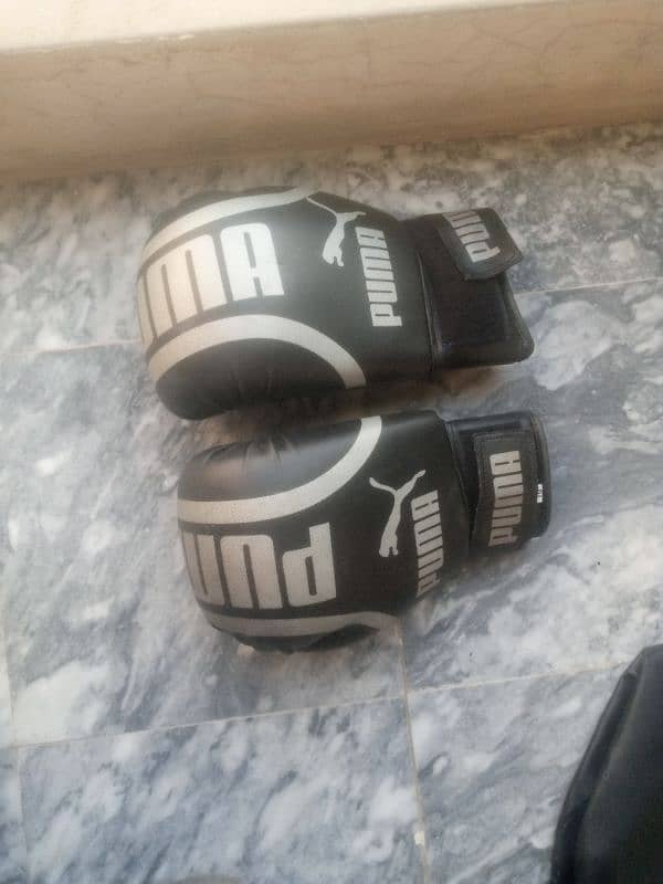 Boxing bag , Boxing gloves , Abs wheel , Nanchaku , Chest springs 3