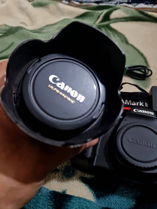 CANON 6D MARK ll 24-105mm ls usm 19