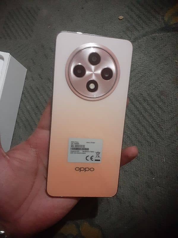 oppo Reno12F 8/256 0