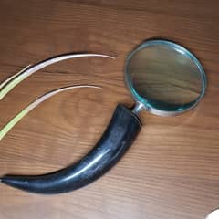 Vintage magnifying glass made of real bull horn.