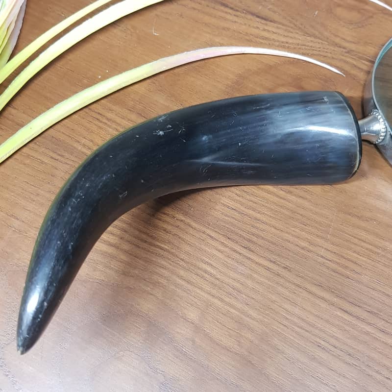 Vintage magnifying glass made of real bull horn. 1