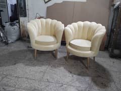 chairs/Poshish chairs /room chairs/Luxury chairs/ Decent chairs