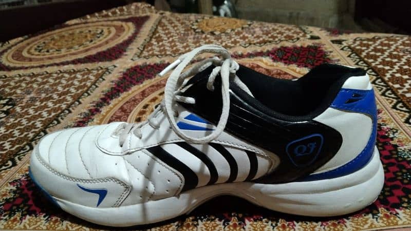 Men sports shoes branded 7