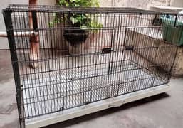 IRON FOLDING CAGE