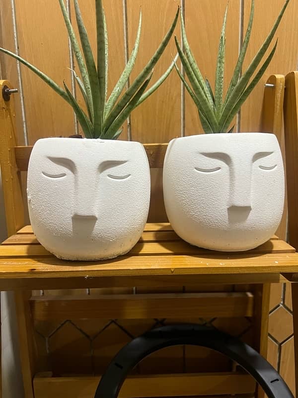 indoor planters, vases and sculpture 5