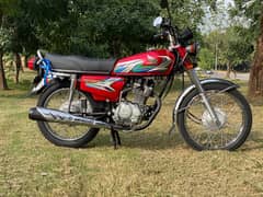 honda 125 (2023 Model)