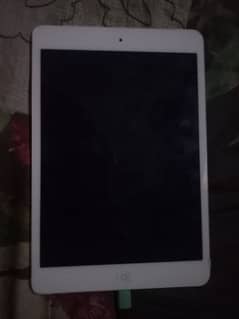 iPad mini 2