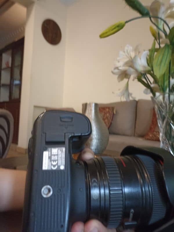 Canon 6D in Pristine Condition 4