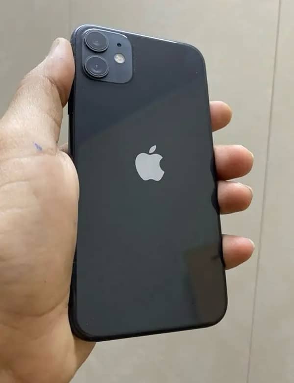 iPhone 11 0