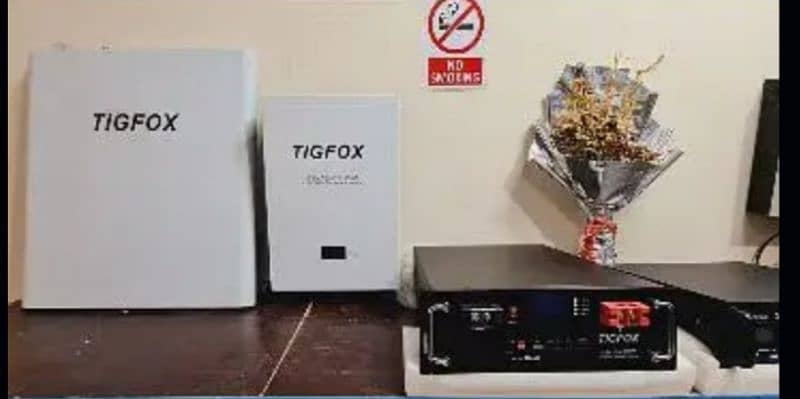 Tig fox lithium battery 2