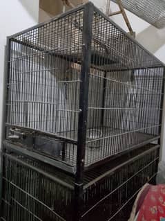 3 Level Cage