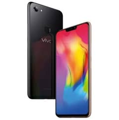 Vivo