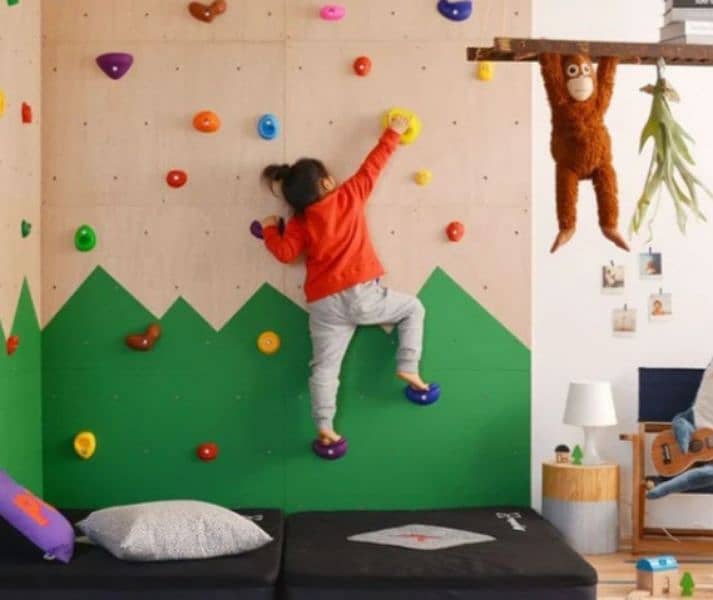 wall climbing/ Rock/ Mountain climbing Holds/Mounts with pega board 13