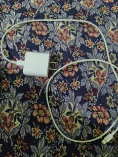 Iphone 20 w original charger with fast cable