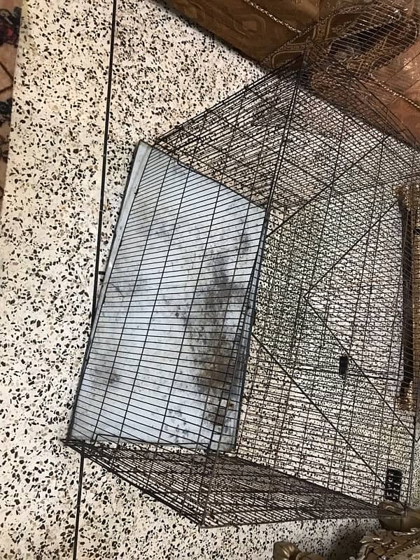 BIG SIZE CAGE FOR SALE 2