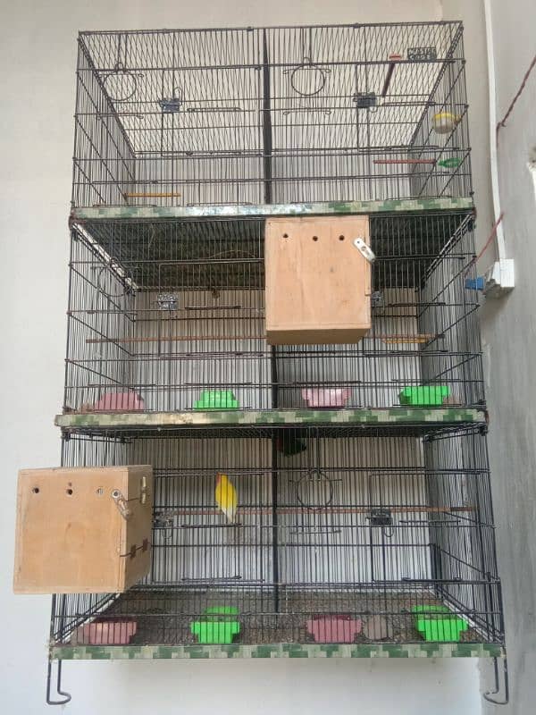 Cage For Sale 1