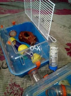 Hamster imported cage