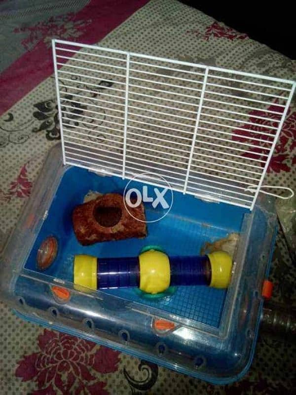 Hamster imported cage 1