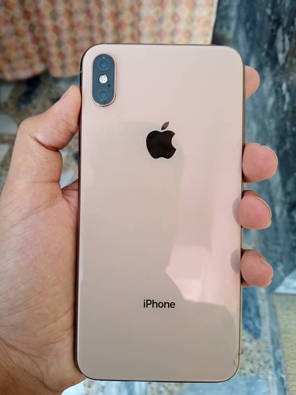 Iphone Xs Max (PTA Approved / 256GB) 5