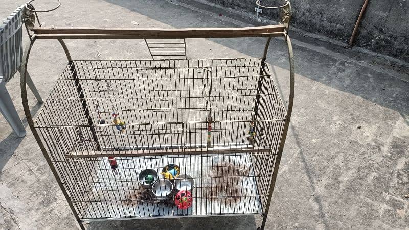 Birds cage. 0