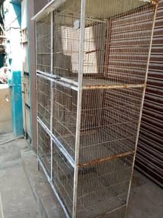 cage for Fisher & Australian parrot