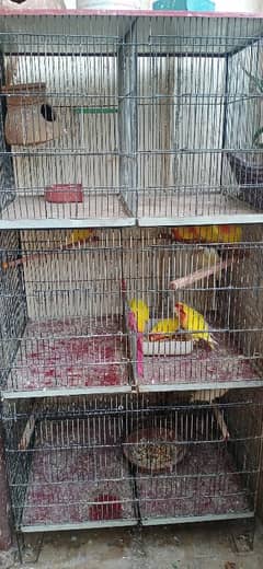 6 portion cage for sell