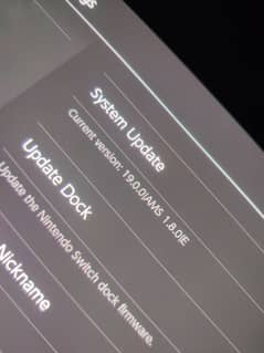 Nintendo Switch Jailbreak Software Installation