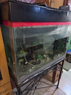 Fish Aquarium / Big Aquarium / With Stand iron