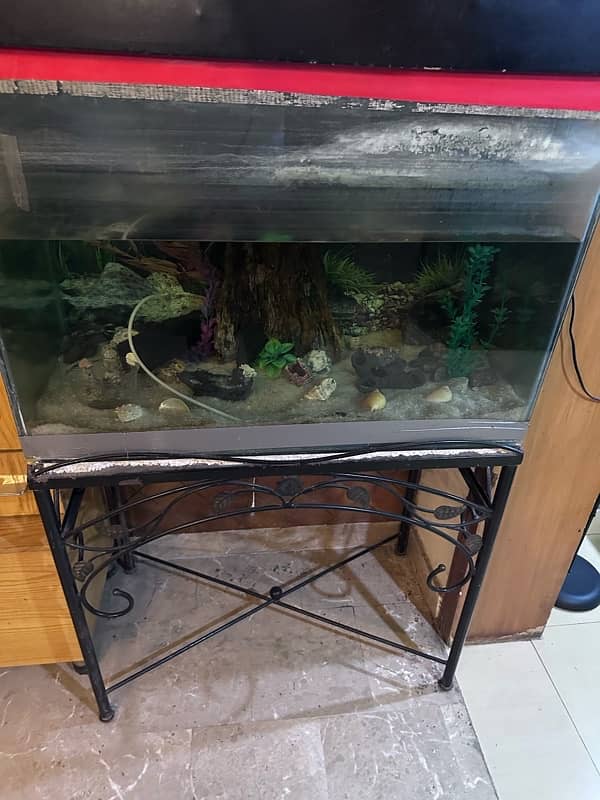 Fish Aquarium / Big Aquarium / With Stand iron 2