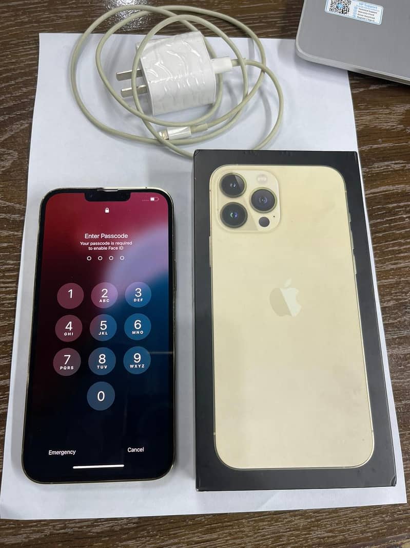 Iphone 13 Pro Max Non PTA 1