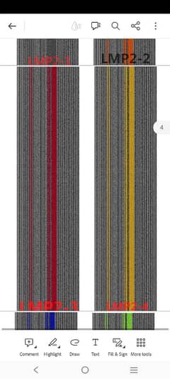 Carpet