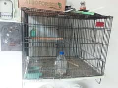 birds cage, master folding cage