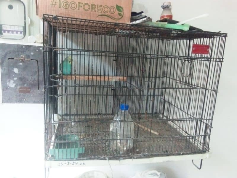 birds cage, master folding cage 0