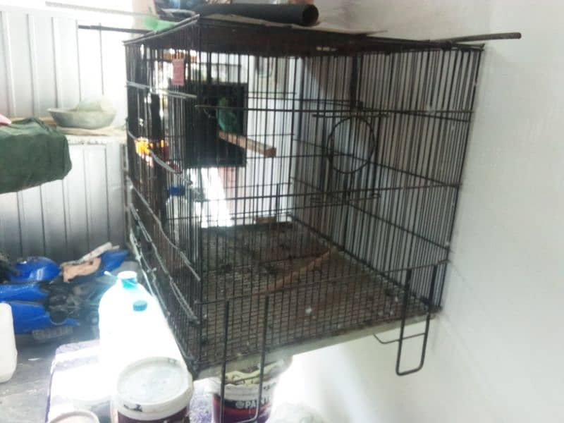 birds cage, master folding cage 1