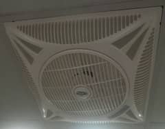 wahid celling fans