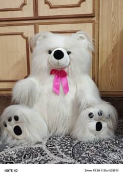 white teddy bear for girls/ boys