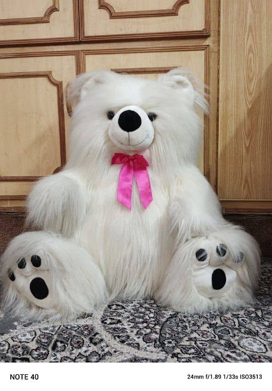 white teddy bear for girls/ boys 0