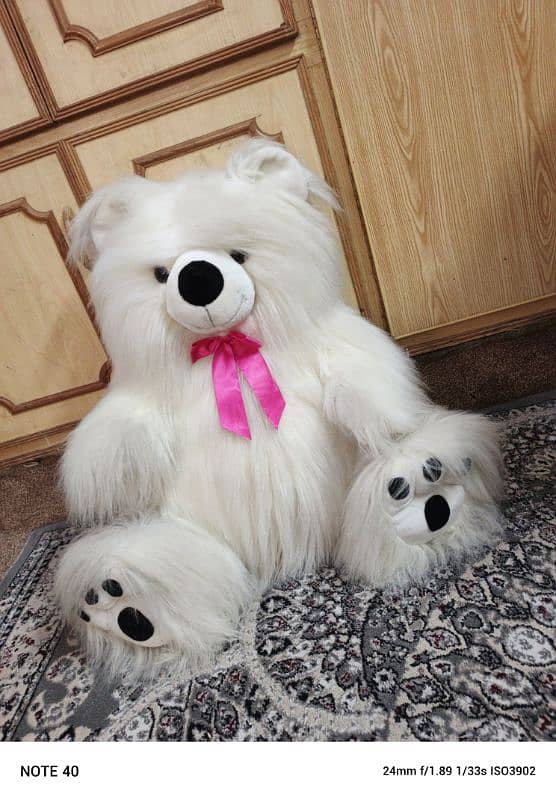 white teddy bear for girls/ boys 1