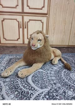 big sized lion