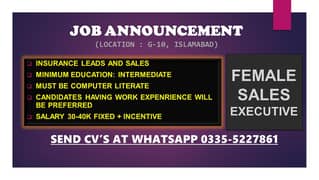 Female Sales Executive